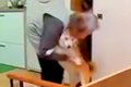おばあちゃんと犬が…の画像