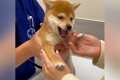 病院で『はじめての…の画像