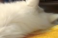 肩こり改善のために…の画像