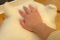 『耳が柔らかすぎる…の画像