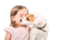 犬が飼い主に『気を…の画像