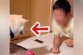 ストレッチしていた…の画像