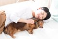 犬が『飼い主のそば…の画像
