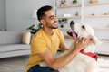 犬から『愛情』を感…の画像