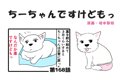 ちーちゃんですけど…の画像