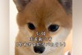 朝の5時30分『はやく…の画像