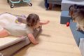 生まれた時からずっ…の画像