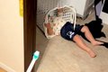 2歳の女の子が『絶対…の画像
