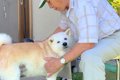 犬が『15年間おじい…の画像