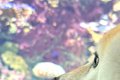 生まれて初めて『水…の画像