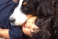 幼少期から犬たちと…の画像