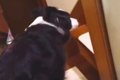朝『パパを起こして…の画像