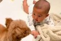 赤ちゃんが転がって…の画像