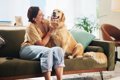 犬を『落ち着いた性…の画像