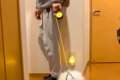 散歩の練習で『子犬…の画像