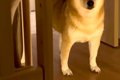 赤ちゃんを寝かしつ…の画像