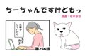 ちーちゃんですけど…の画像