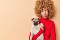 犬が『飼い主を避け…の画像