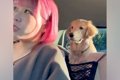 車の運転に慣れてい…の画像