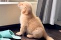洗濯物を干す母を監…の画像