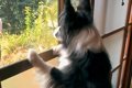 4日間、家を留守にし…の画像