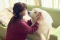 お風呂が嫌すぎて駄…の画像