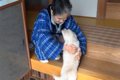 超犬好きな母に『内…の画像