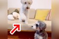 『こうだよ、こう…』…の画像
