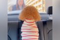 車で駅までお迎えに…の画像