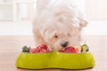 愛犬の生食メニュー…の画像