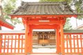 神社に犬は入っても…の画像