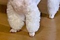 『綿棒』というあだ…の画像