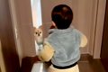 1歳の男の子と半日ぶ…の画像