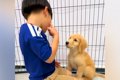 なぜか『子犬』を呼…の画像