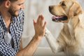 犬は食べ物をくれた…の画像