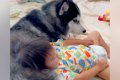 距離があった赤ちゃ…の画像
