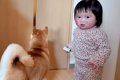 ママが外出→悲しそう…の画像