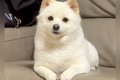 『バースデーソング…の画像