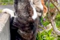 『お母さんが帰って…の画像