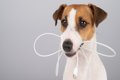 犬の留守番前にしな…の画像