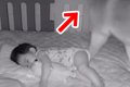赤ちゃんの様子を『…の画像
