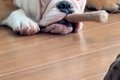 『葉巻吸ってるやろ…の画像