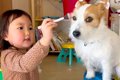 女の子が『犬とおま…の画像