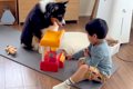 『小さな男の子と犬…の画像