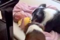 寝ていた赤ちゃんが…の画像