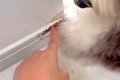 新築の壁が破壊され…の画像
