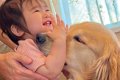 歩き疲れてお昼寝に…の画像