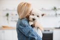 犬から『いいニオイ…の画像