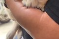 まだ散歩に行ったこ…の画像
