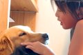 小学校から帰ったら…の画像